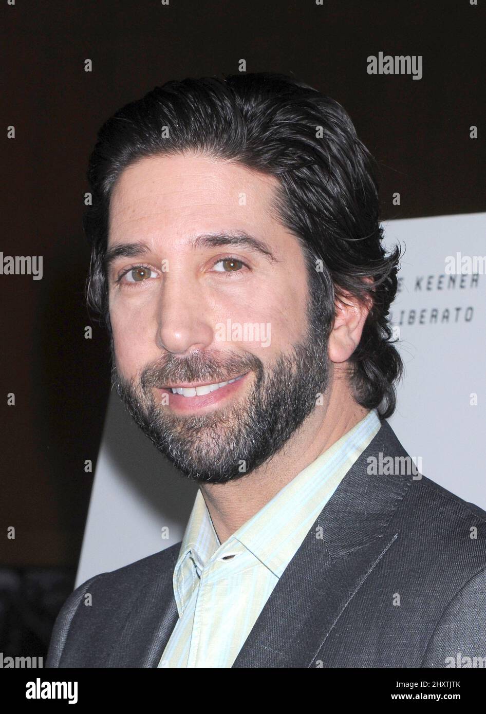 David Schwimmer durante la proiezione 'Trust' di Los Angeles tenutasi presso la Director's Guild of America di Los Angeles Foto Stock