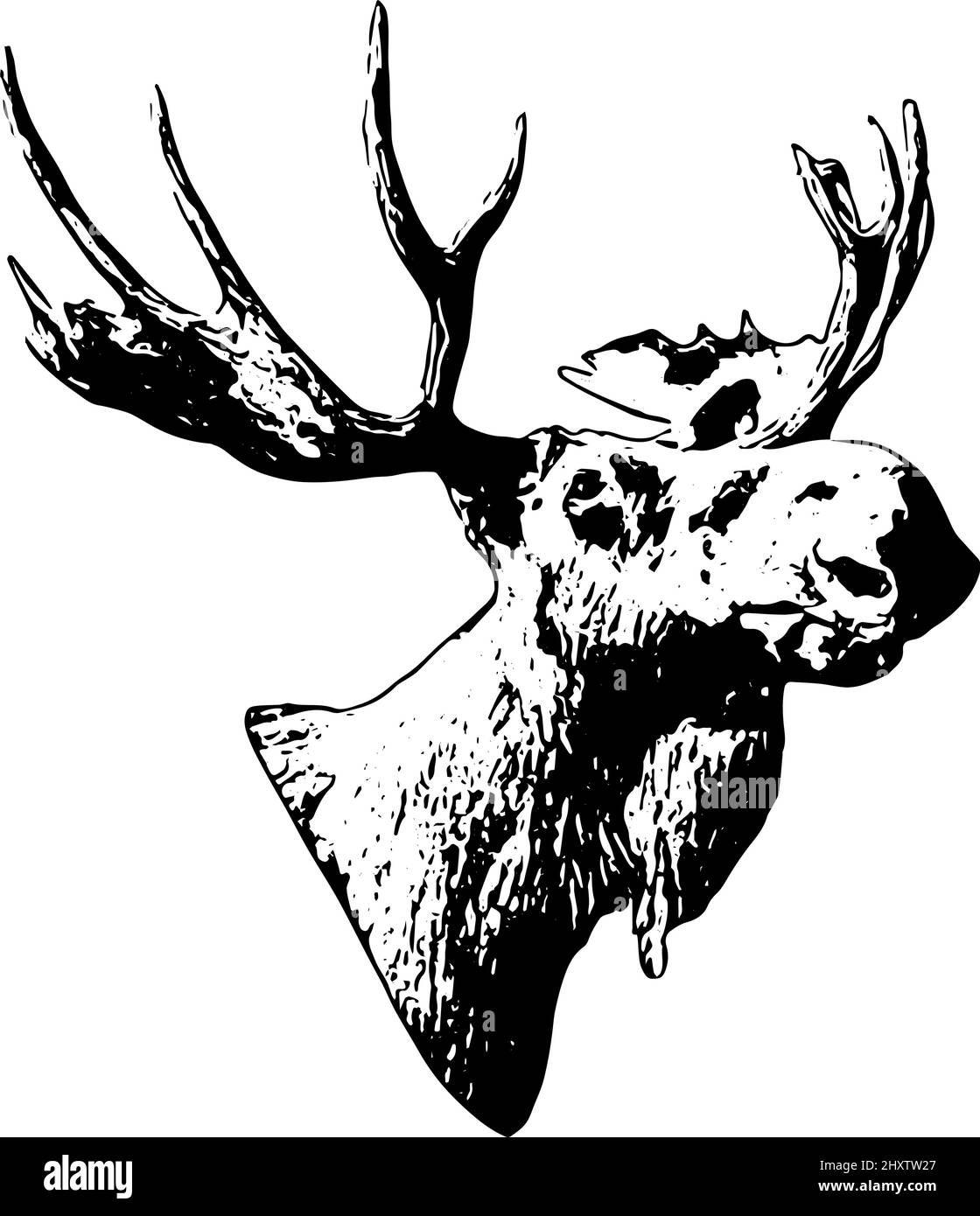 Testa di Moose con corna in nero su sfondo bianco Illustrazione Vettoriale