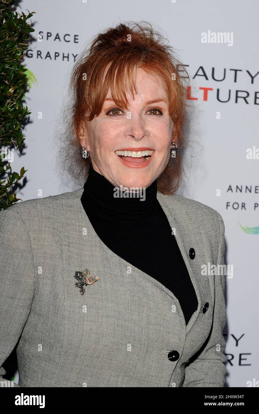Stefanie Powers partecipa alla Notte di apertura della 'Cultura di bellezza' tenutasi all'Annenberg Space for Photography, California Foto Stock