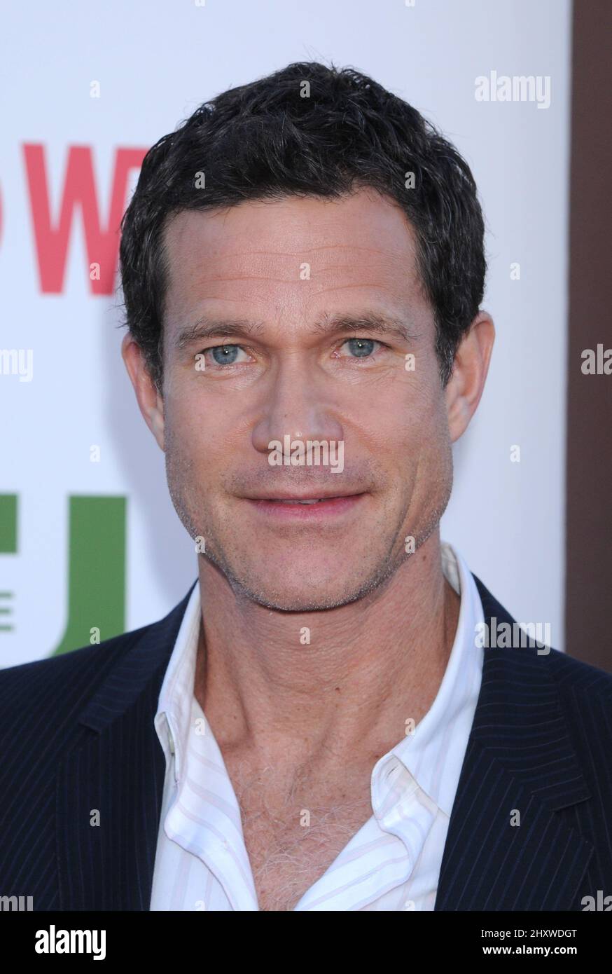 Dylan Walsh durante il CBS, il CW e Showtime TCA Party tenuto alla Pagoda, California Foto Stock