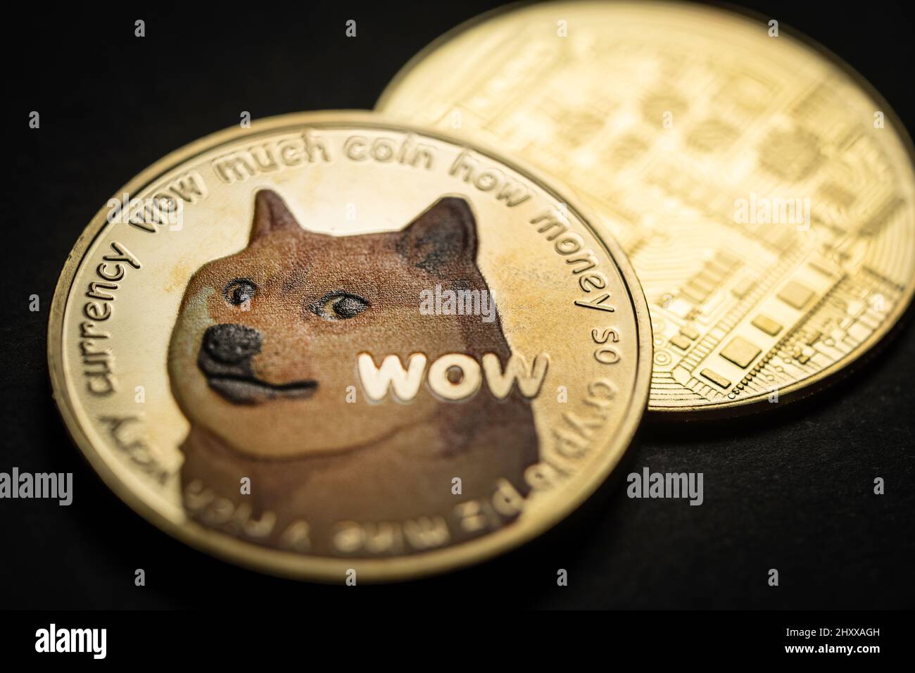 Primo piano di una criptocurrenza digitale Dogecoin d'oro. Foto Stock