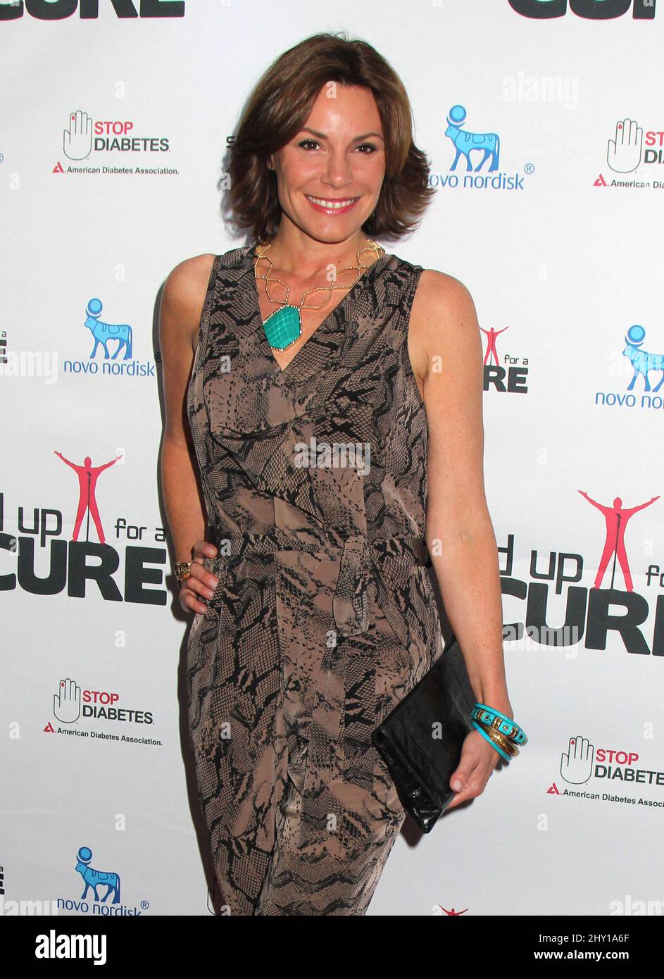 La contessa Luann de Lesseps partecipa alla Stand Up for A Cure 2013 Concert Series al Madison Square Garden di New York. Foto Stock