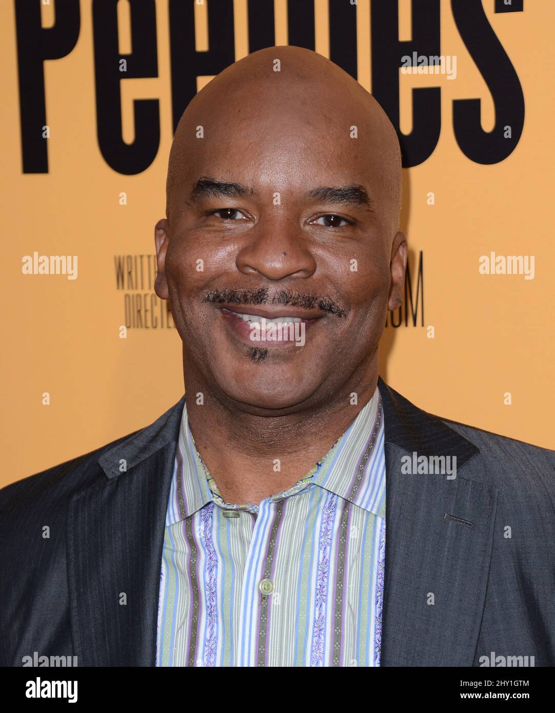 David Alan Grier arriva alla prima mondiale di 'Peeples' all'ARCLIGHT di Hollywood mercoledì 8 maggio 2013 a Los Angeles. Foto Stock