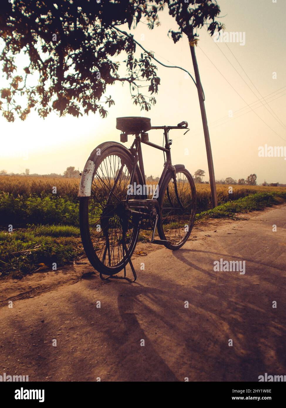 Bella vecchia bicicletta sulla strada vicino al campo al tramonto Foto Stock
