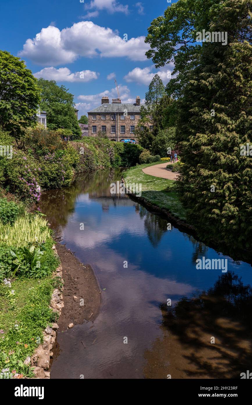 Vista sul fiume dei Pavilion Gardens a Buxton, Inghilterra Foto Stock