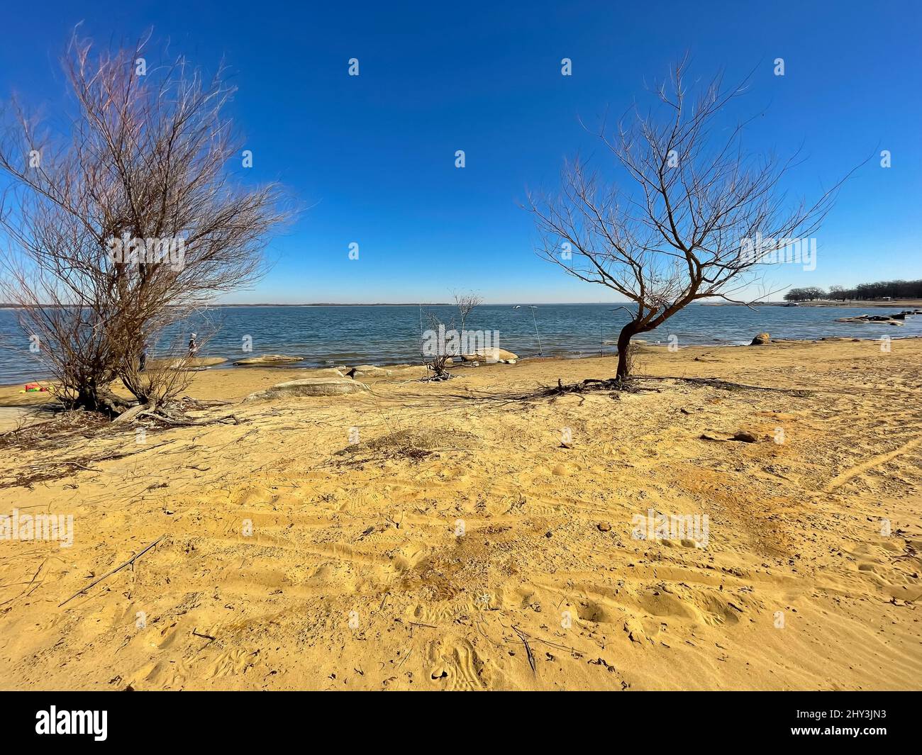 Litorale sabbioso del lago Lewisville con fila di canne da pesca in inverno in Texas, Stati Uniti Foto Stock