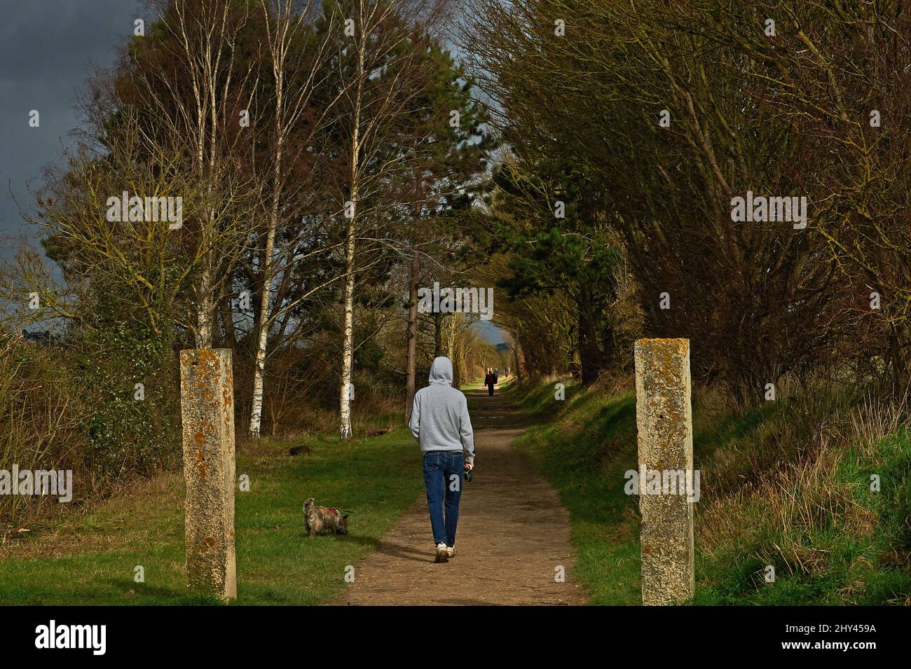 Ragazzo adolescente in cima grigio con cappuccio e jeans che camminano Cairn Terrier cane lungo Stratford Greenway sotto un cielo tempestoso Foto Stock