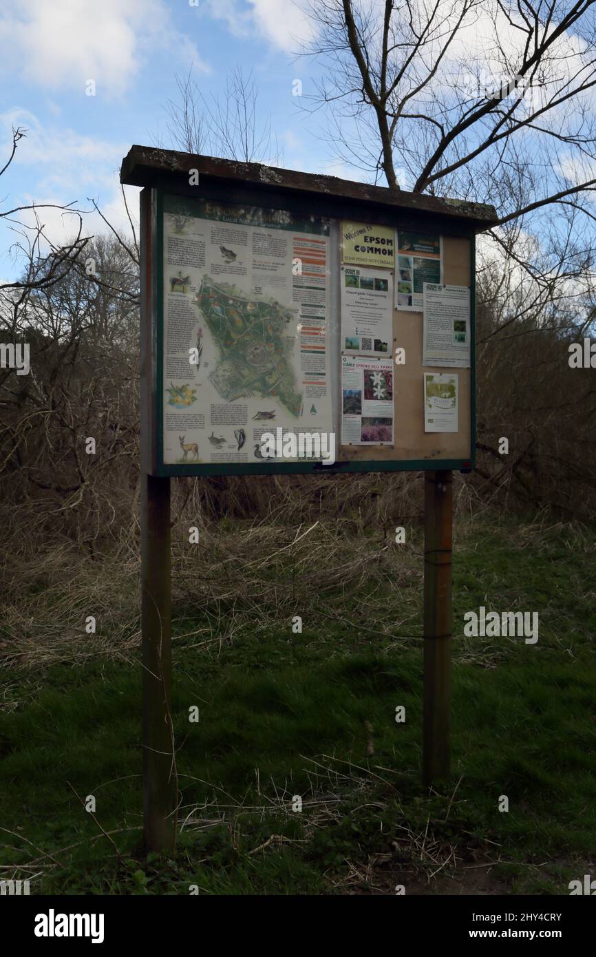 Epsom Surrey Inghilterra Epsom Common Local Nature Reserve Noticeboard and Map Foto Stock