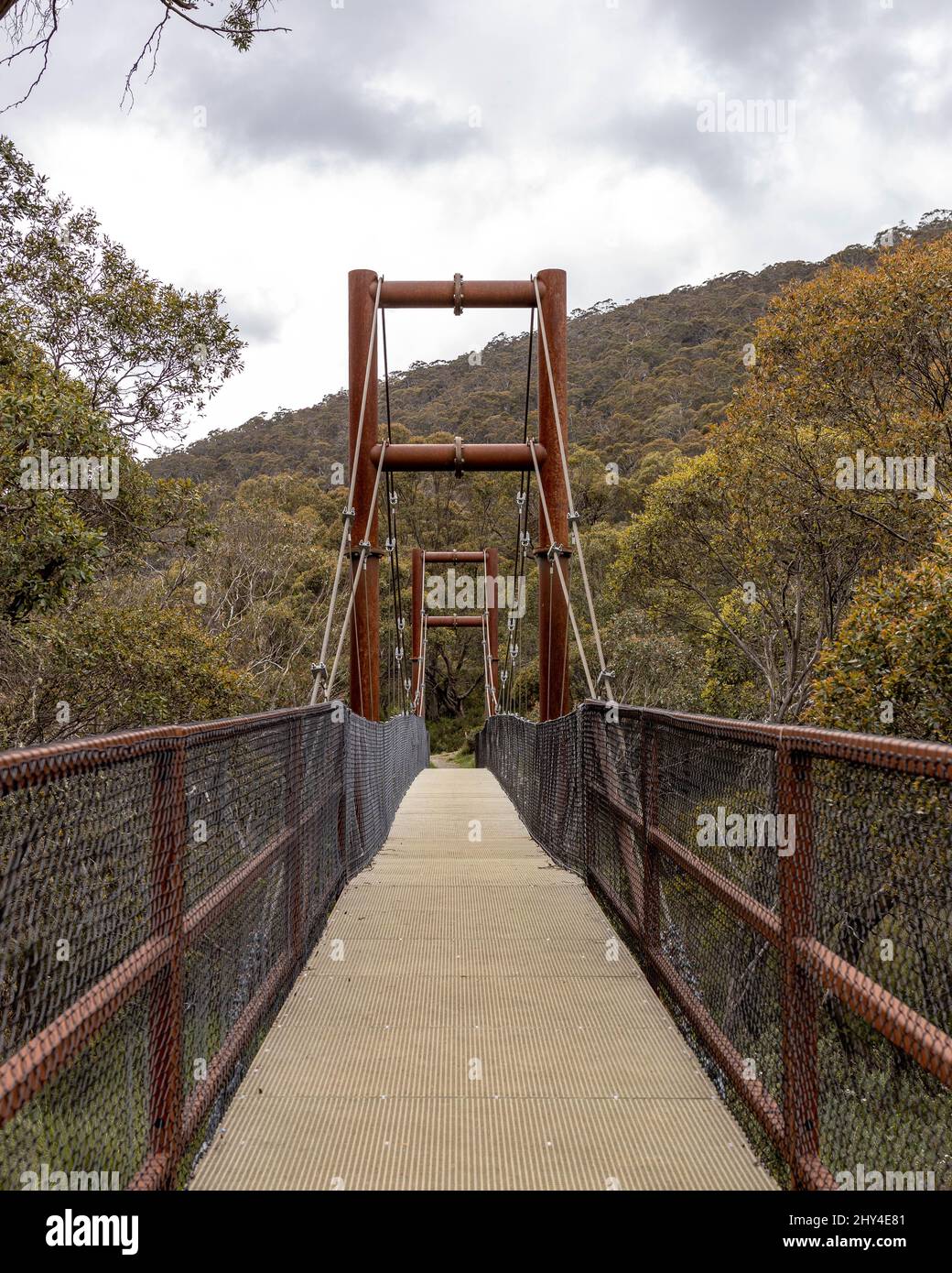 Colpo verticale del ponte della valle di Thredbo circondato da alberi nel nuovo Galles del Sud, Australia Foto Stock