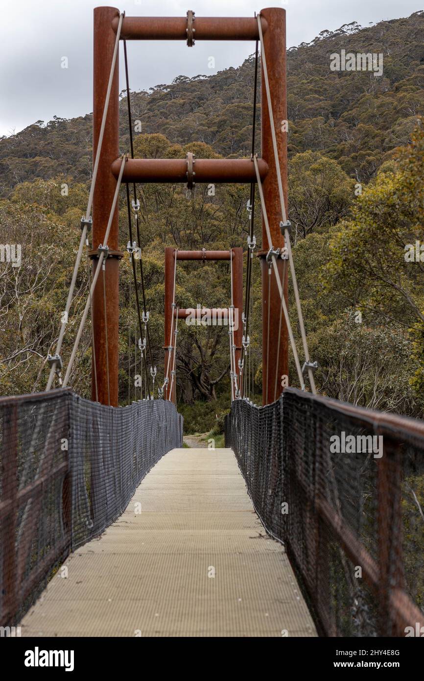 Colpo verticale del ponte della valle di Thredbo circondato da alberi nel nuovo Galles del Sud, Australia Foto Stock