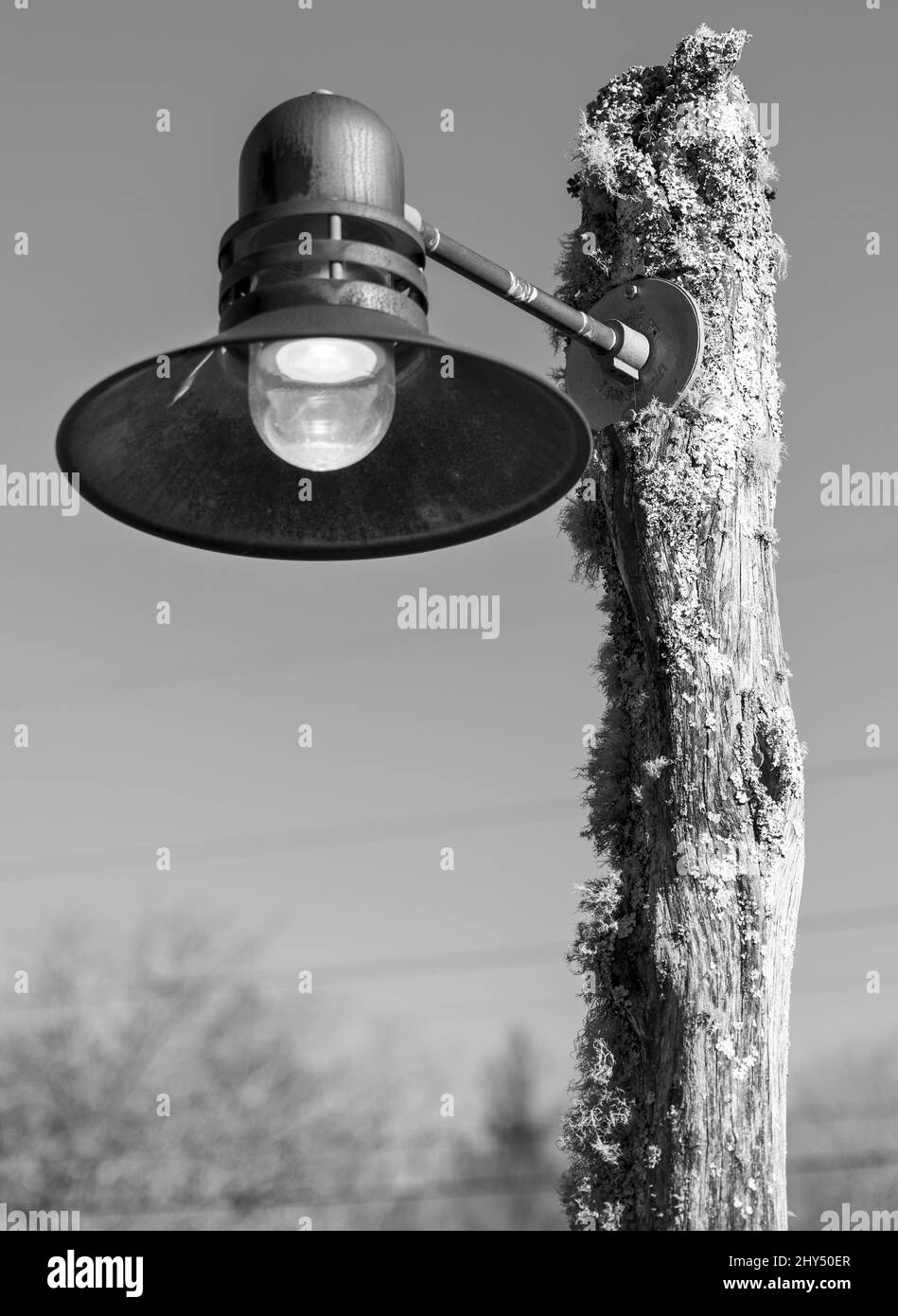 Scatto verticale in scala di grigi di una lampada su un palo di legno Foto Stock