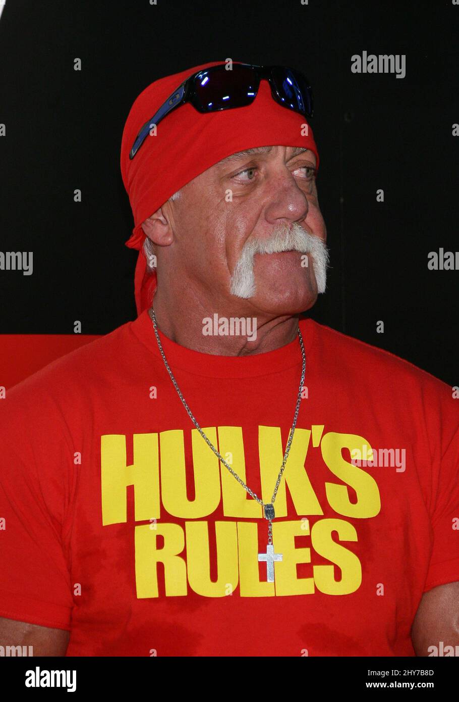 Hulk Hogan partecipa all'Expo delle licenze 2015 Foto Stock