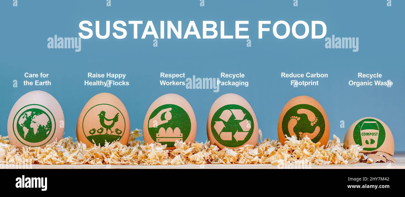 Etichette e icone alimentari sostenibili sulle uova, informazioni ambientali ed etiche sui consumatori, cura della terra, rispetto dei lavoratori, riciclaggio, riduzione dei rifiuti, Foto Stock