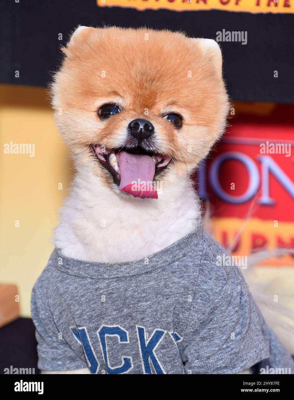 Jiff partecipa alla prima del film "The Lion Guard: Return of the Roar" di Disney al Walt Disney Studios Lot. Foto Stock