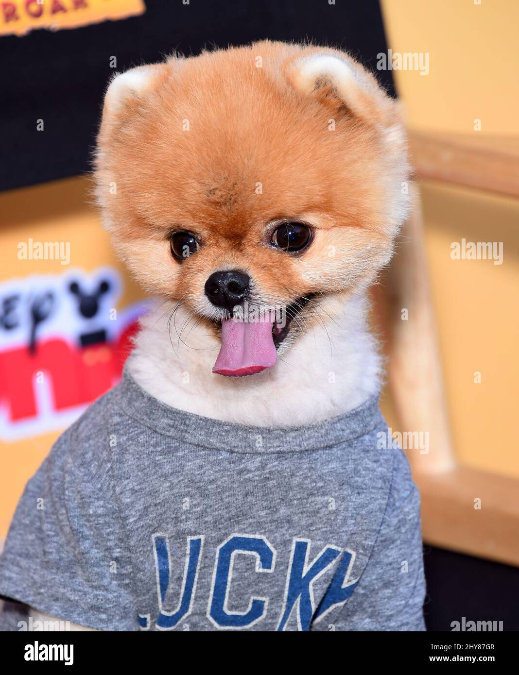 Jiff partecipa alla prima del film "The Lion Guard: Return of the Roar" di Disney al Walt Disney Studios Lot. Foto Stock