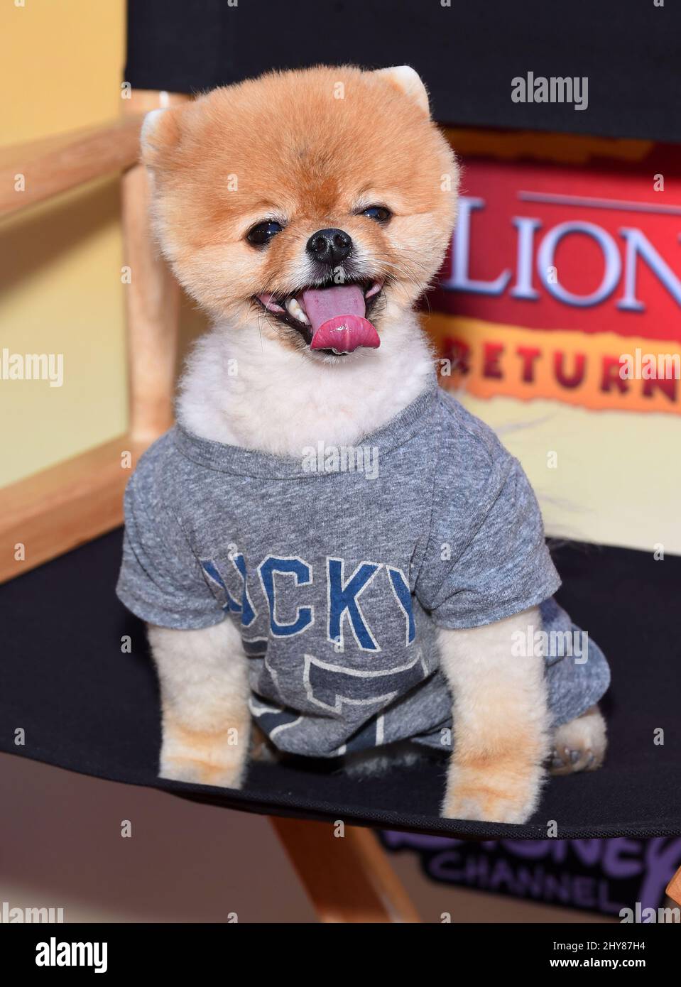 Jiff partecipa alla prima del film "The Lion Guard: Return of the Roar" di Disney al Walt Disney Studios Lot. Foto Stock