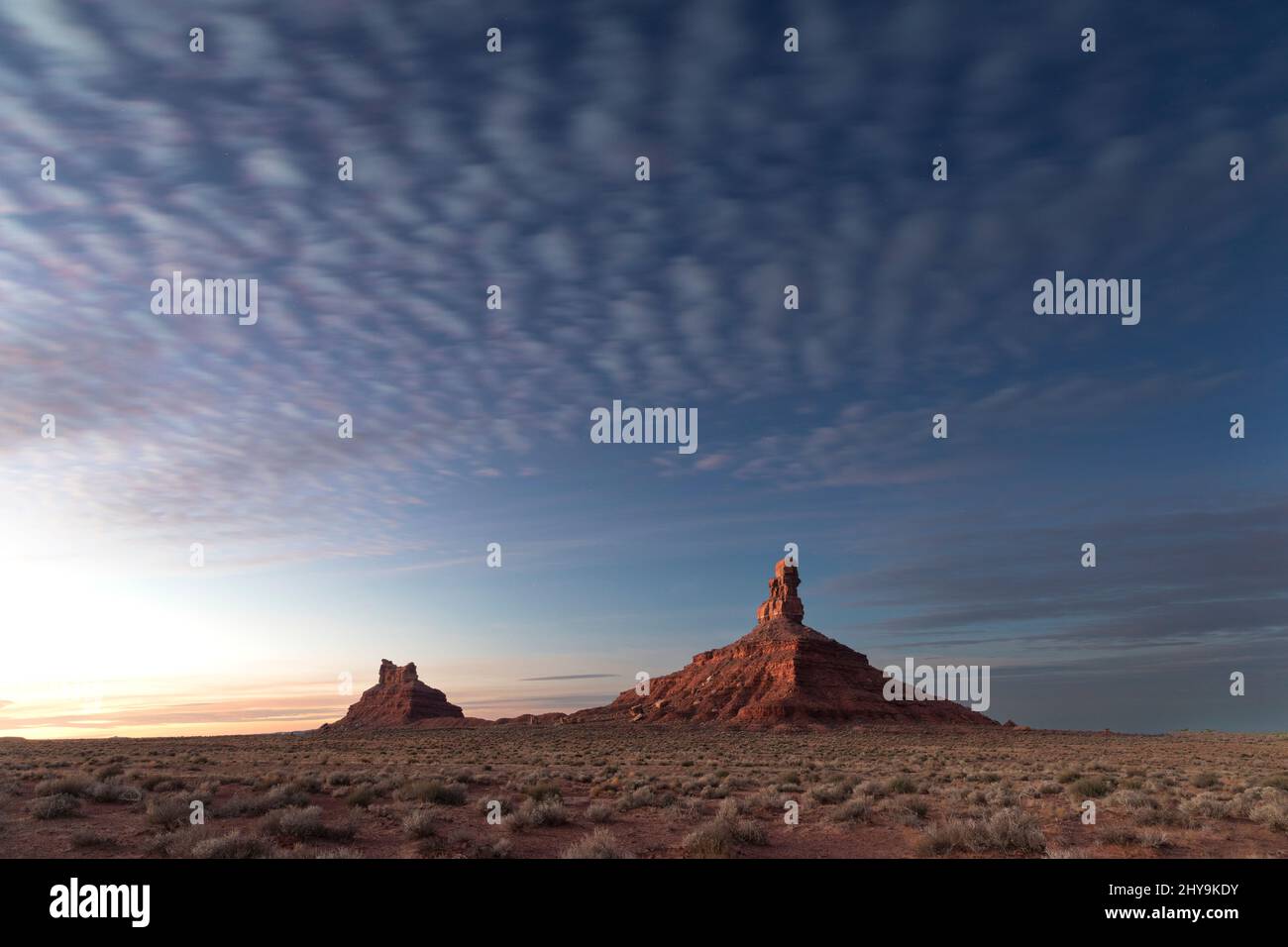 UT00901-00..... UTAH - Rooster Butte e l'ambientazione di Hen Butte all'alba nella Valle degli dei, Bears Ears National Monument. Foto Stock