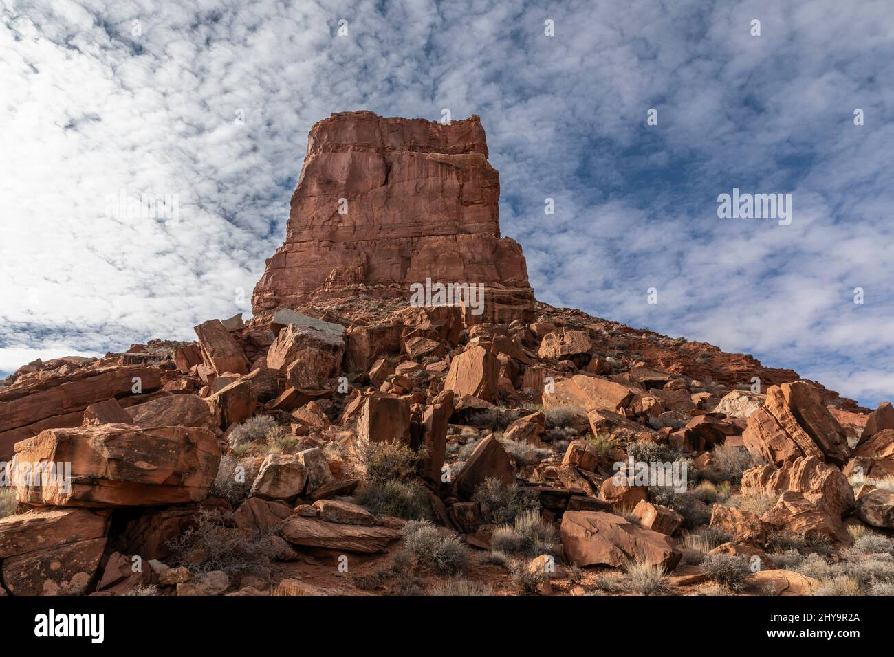 UT00914-00..... UTAH - butte arenaria nella Valle degli dei, Bears Ears National Monument. Foto Stock