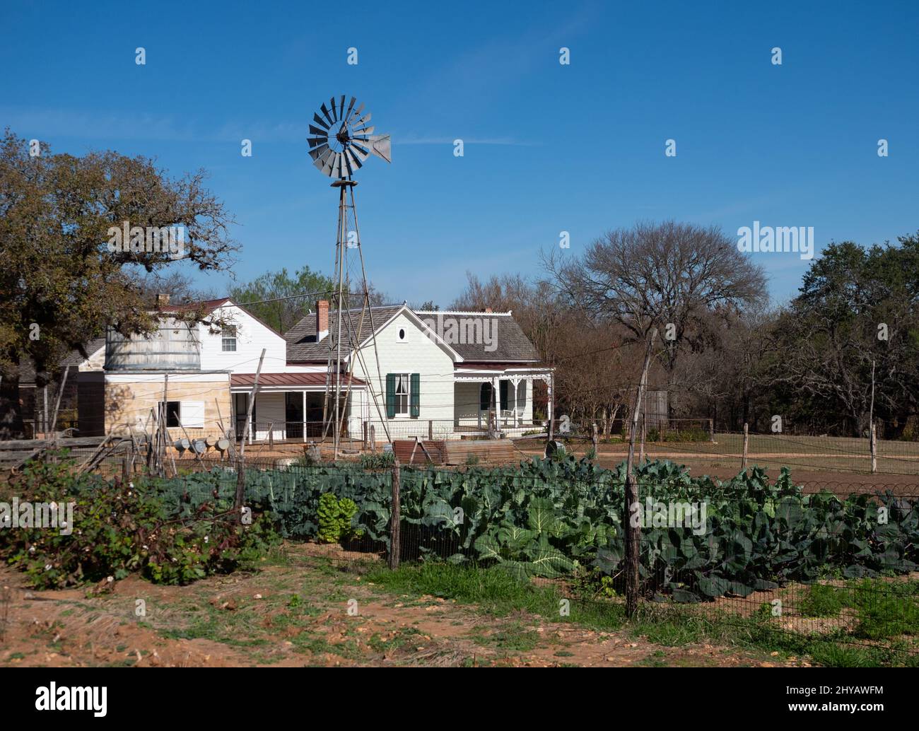La fattoria, il giardino, il serbatoio d'acqua e il mulino a vento presso la Sauer-Beckmann Living History Farm presso il Lyndon B. Johnson state Park vicino Stonewall, Texas. Foto Stock