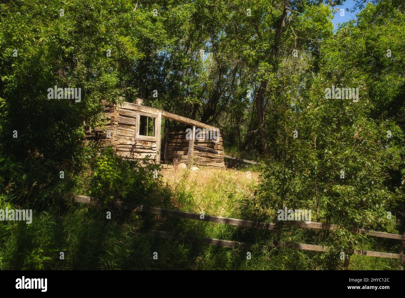 Una cabina abbandonata in legno quadrato interbloccante senza tetto circondata da una foresta di alberi verdi in un paesaggio rurale estivo Foto Stock