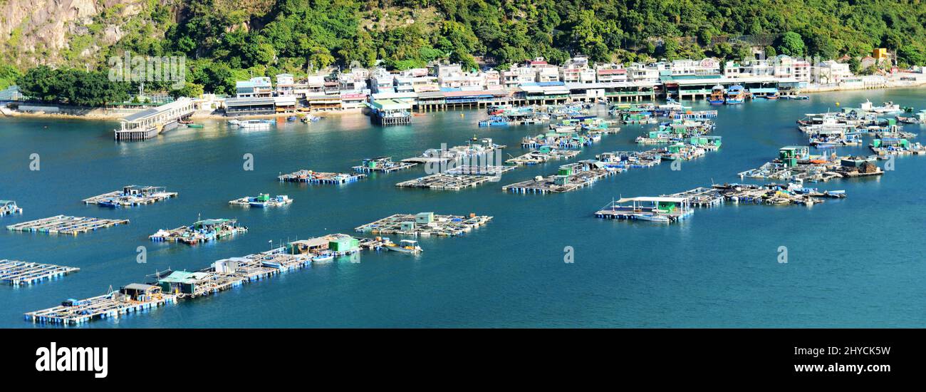 Aziende di acquacoltura a Pichic Bay, Sok Kwu WAN, Lamma Island, Hong Kong. Foto Stock