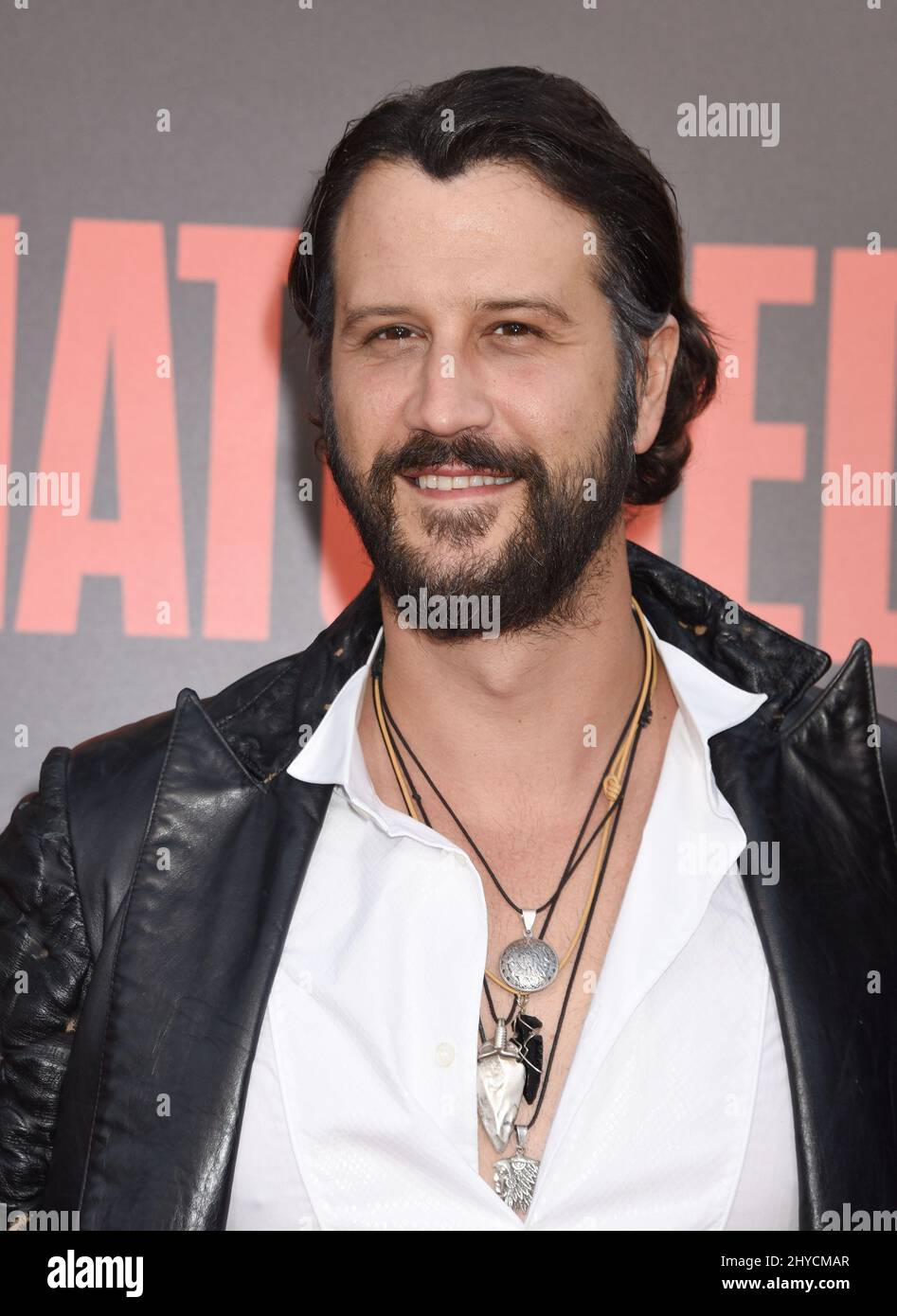 Stefan Kapicic 'Snatched' World Premiere tenuto al Regency Village Theatre Foto Stock