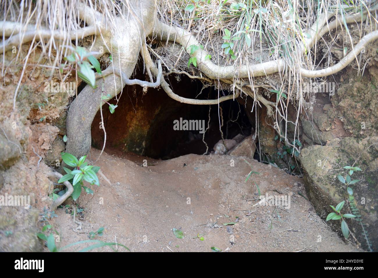 Tunnel Giapponese della seconda Guerra Mondiale sulla cima del Monte Stenhouse sull'isola di Lamma a Hong Kong. Foto Stock