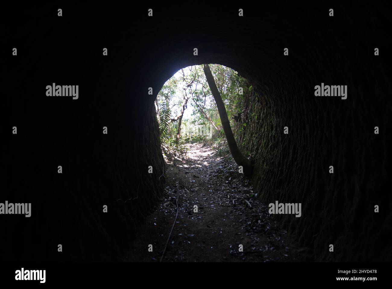 Tunnel Giapponese della seconda Guerra Mondiale sulla cima del Monte Stenhouse sull'isola di Lamma a Hong Kong. Foto Stock