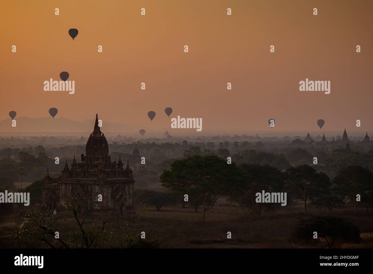 Bella vista di palloncini d'aria calda sopra templi e pagode all'antica pianura di Bagan in Myanmar (Birmania) all'alba. Foto Stock