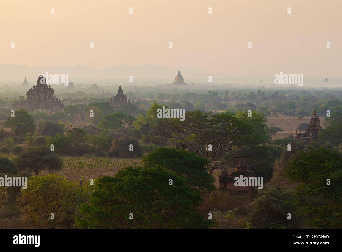 Vista panoramica di molti templi, pagode e altri vecchi edifici presso l'antica pianura di Bagan in Myanmar (Birmania), all'alba. Foto Stock