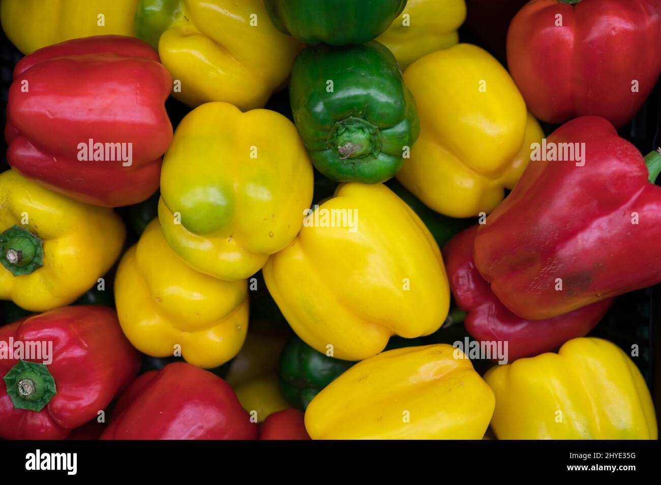 Peperoni colorati da vicino Foto Stock