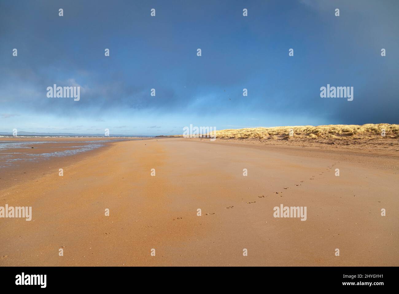Aberlady Beach la mattina di febbraio. Foto Stock