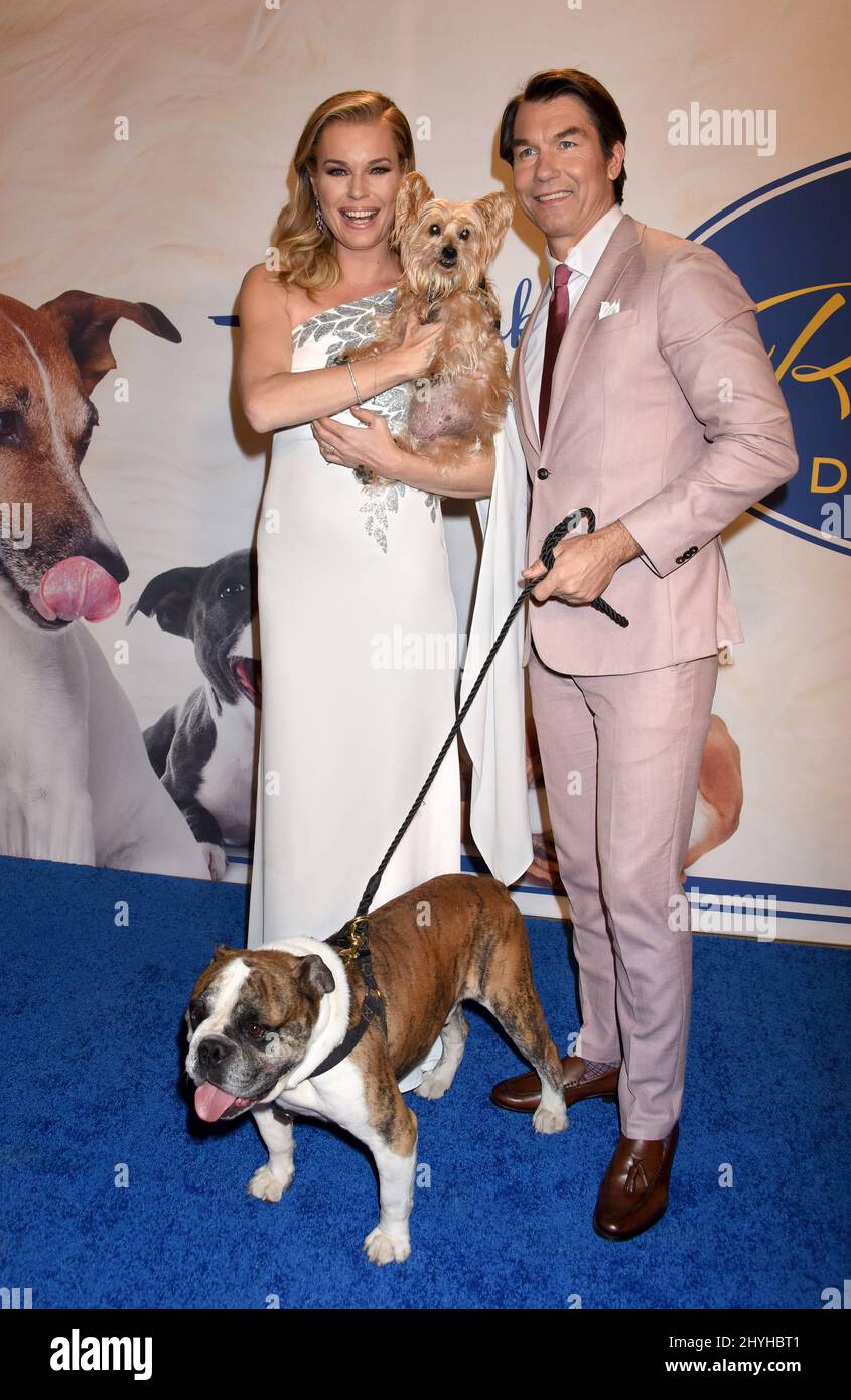 Rebecca Romijn, Jerry o'Connell e i cani di salvataggio al '2019 American Rescue Dog Show' di Hallmark Channel, tenuto al Fairplex di Pomona il 13 gennaio 2019 a Pomona, CA. Foto Stock
