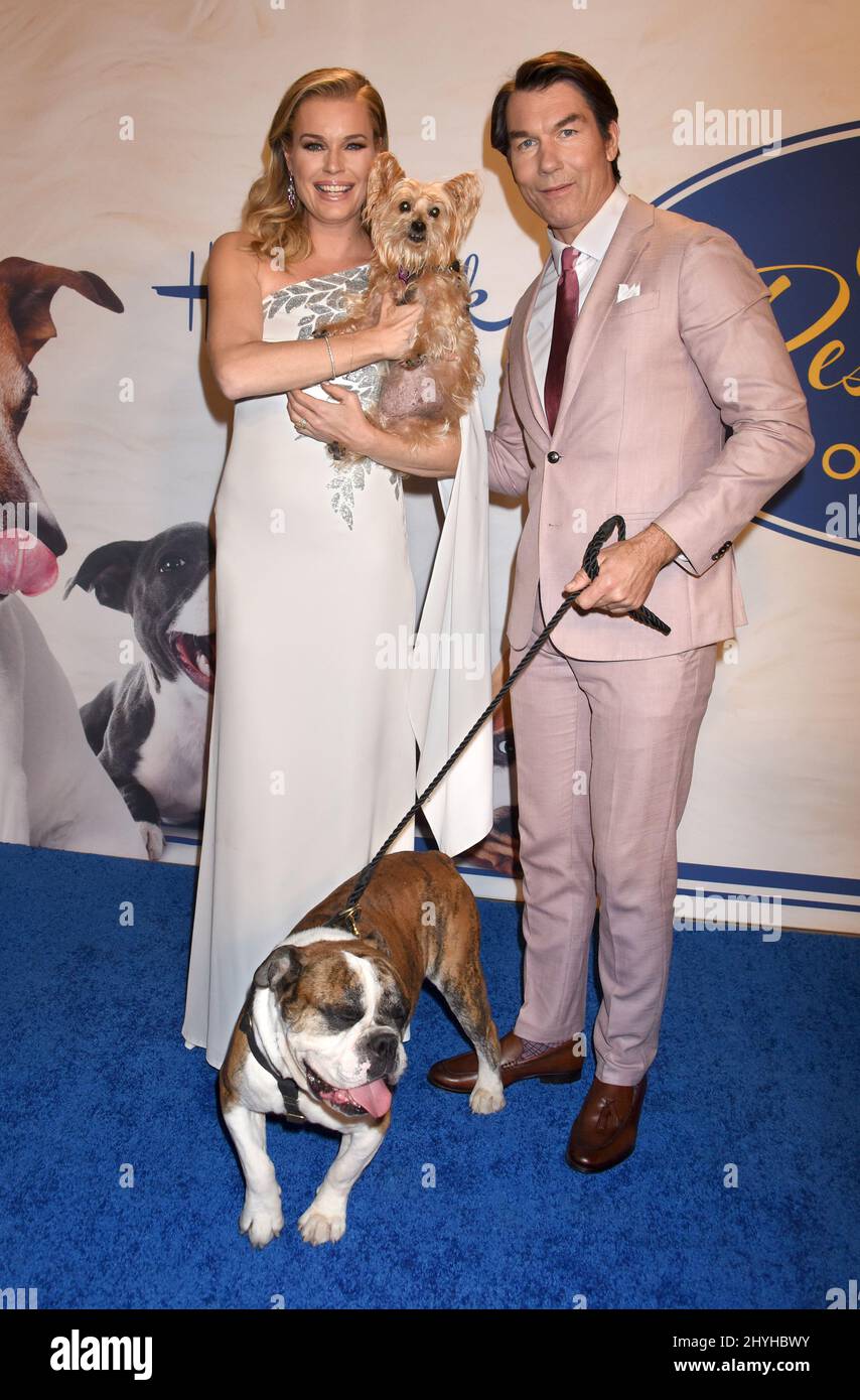 Rebecca Romijn, Jerry o'Connell e i cani di salvataggio al '2019 American Rescue Dog Show' di Hallmark Channel, tenuto al Fairplex di Pomona il 13 gennaio 2019 a Pomona, CA. Foto Stock