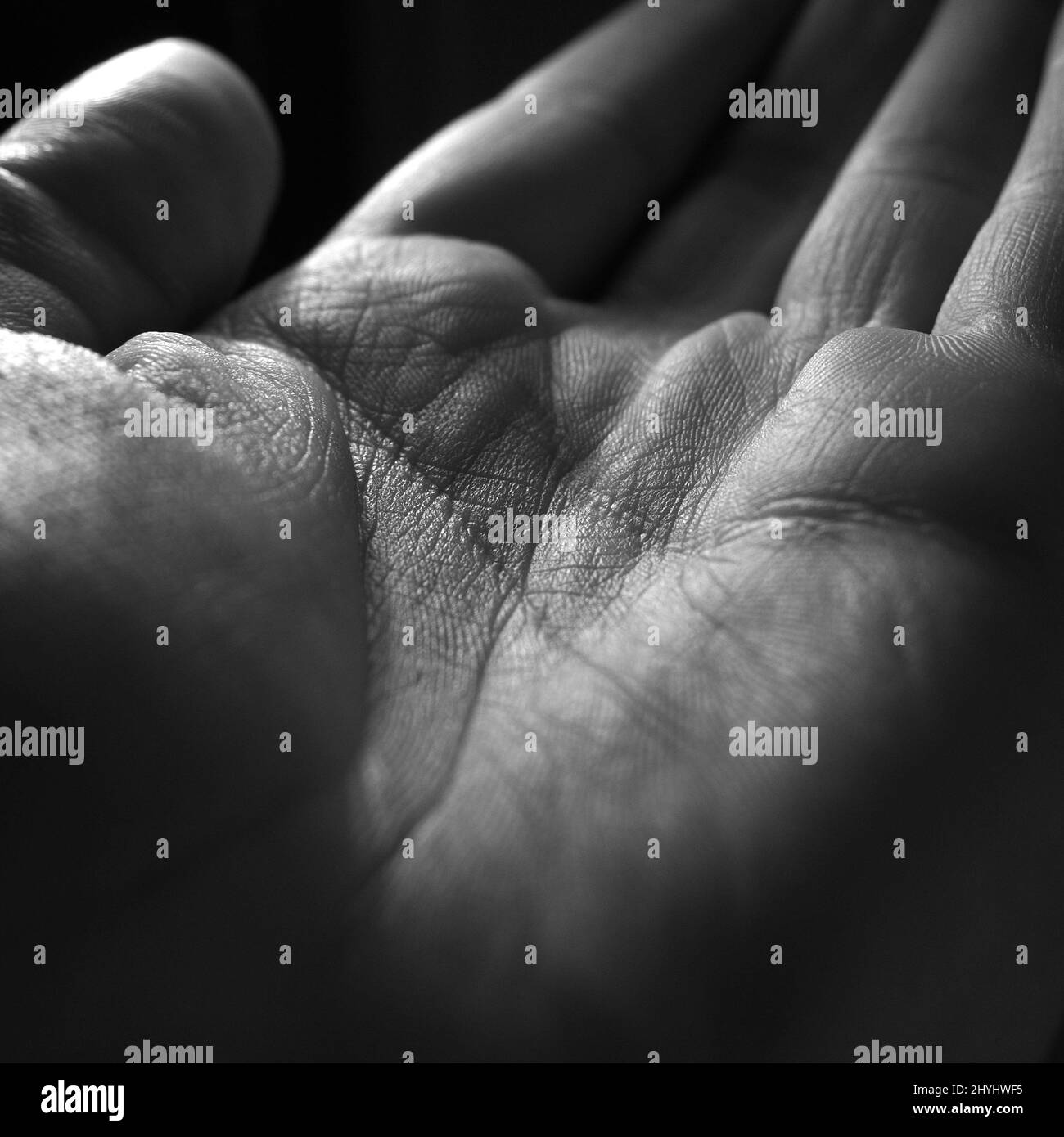 Sfondo della pelle astratto. Foto d'arte in bianco e nero della pelle testurizzata di una mano Foto Stock