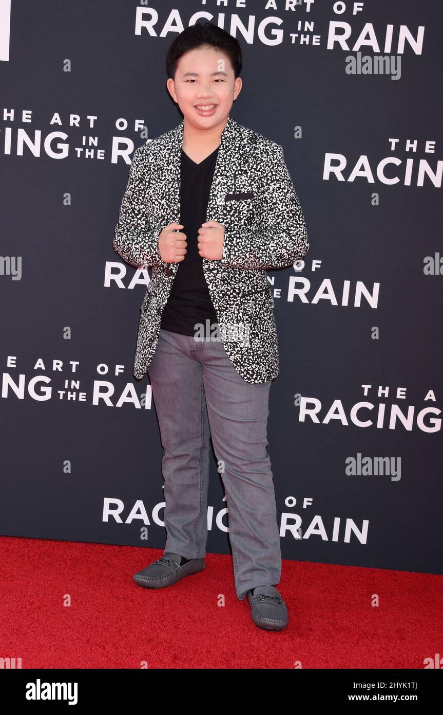 Albert Tsai al 'The Art of Racing in the Rain' World Premiere tenuto al Teatro El Capitan il 1 agosto 2019 a Hollywood, CA. Foto Stock