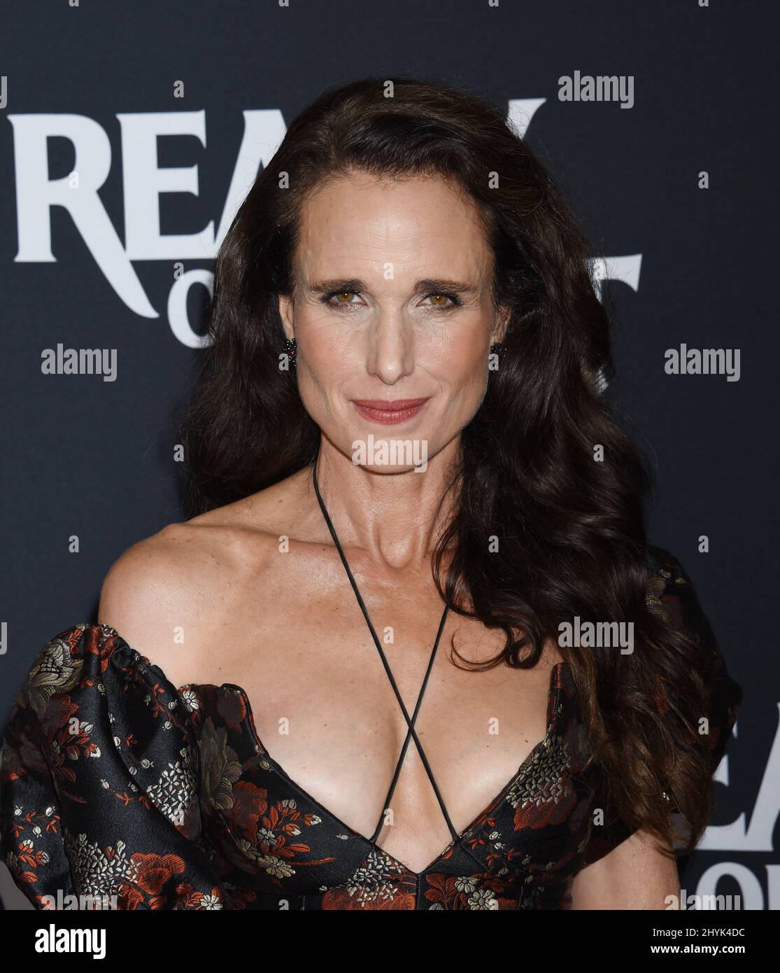 Andie MacDowell alla proiezione di Los Angeles di 'Ready or Not' tenutasi ad Arclight Culver City il 19 agosto 2019 a Culver City, CA. Foto Stock