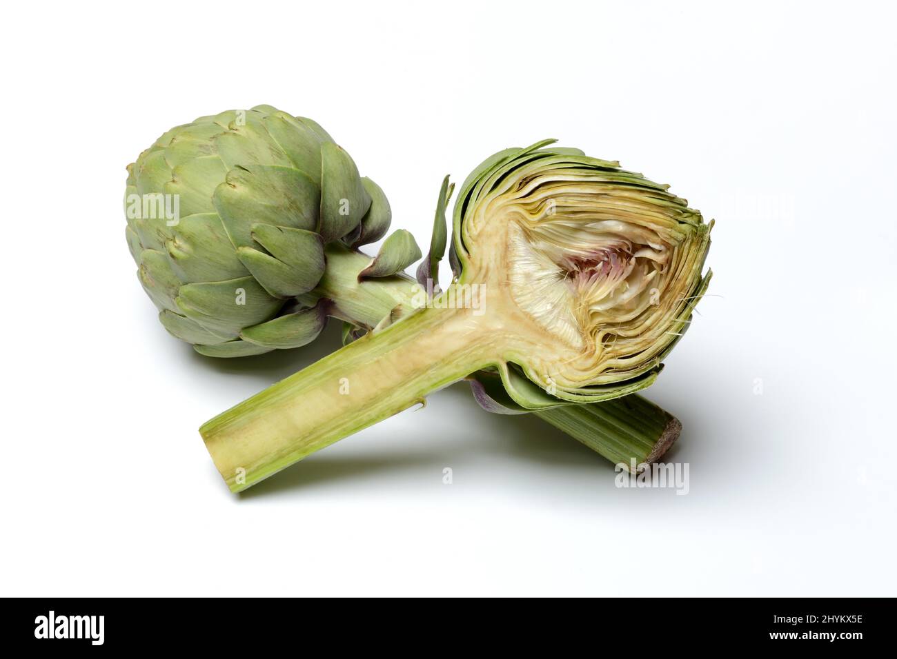 Carciofo (Cynara scolymus) in sezione longitudinale Foto Stock