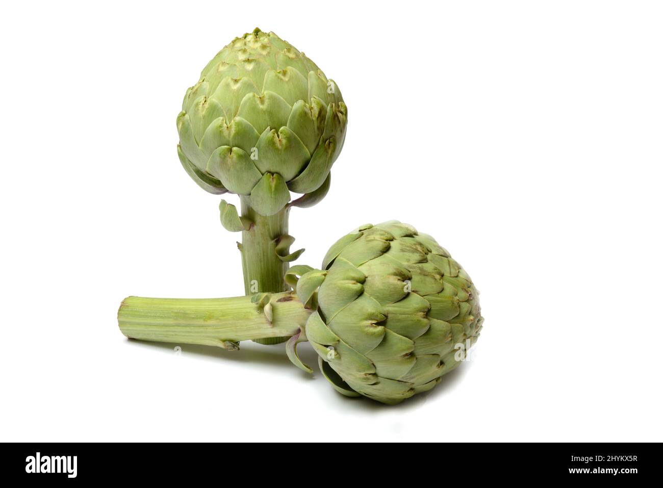 Due carciofi (Cynara scolymus) Foto Stock