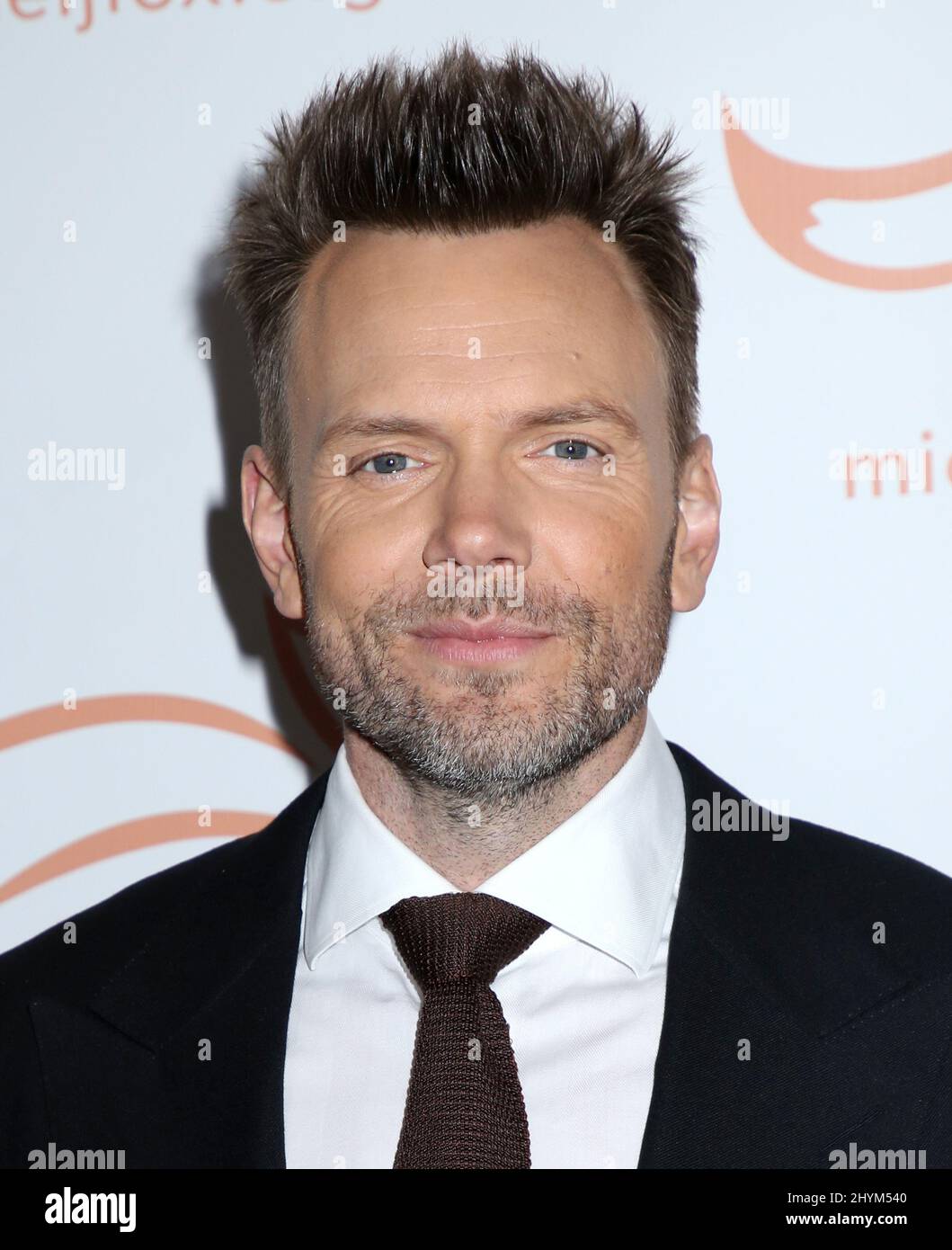 Joel McHale ha partecipato al gala della Fondazione Michael J. Fox 2019 'Una cosa divertente è accaduto sulla strada per Cure Parkinson' tenuto all'Hilton New York il 16 novembre 2019 a New York City, NY Foto Stock