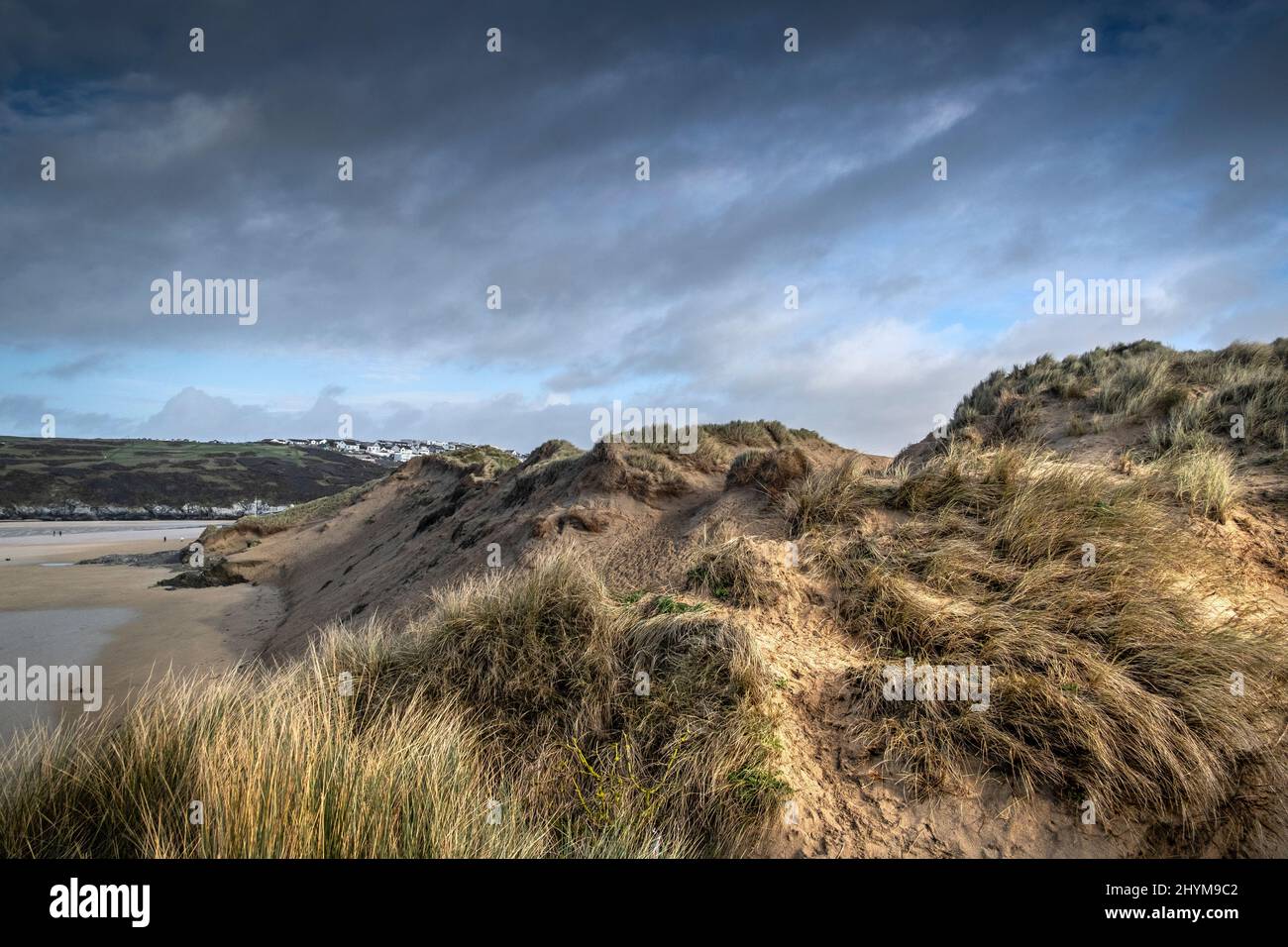 Luce dorata alla fine della giornata per gravi danni causati dall'attività umana al fragile sistema di dune di sabbia a Crantock Beach a Newquay Foto Stock