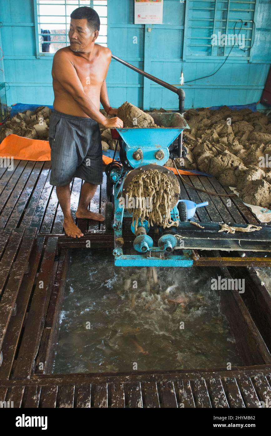 Uomo che alimenta il pesce in una fattoria di pesce sul fiume Mekong, Chau Doc, Vietnam Foto Stock
