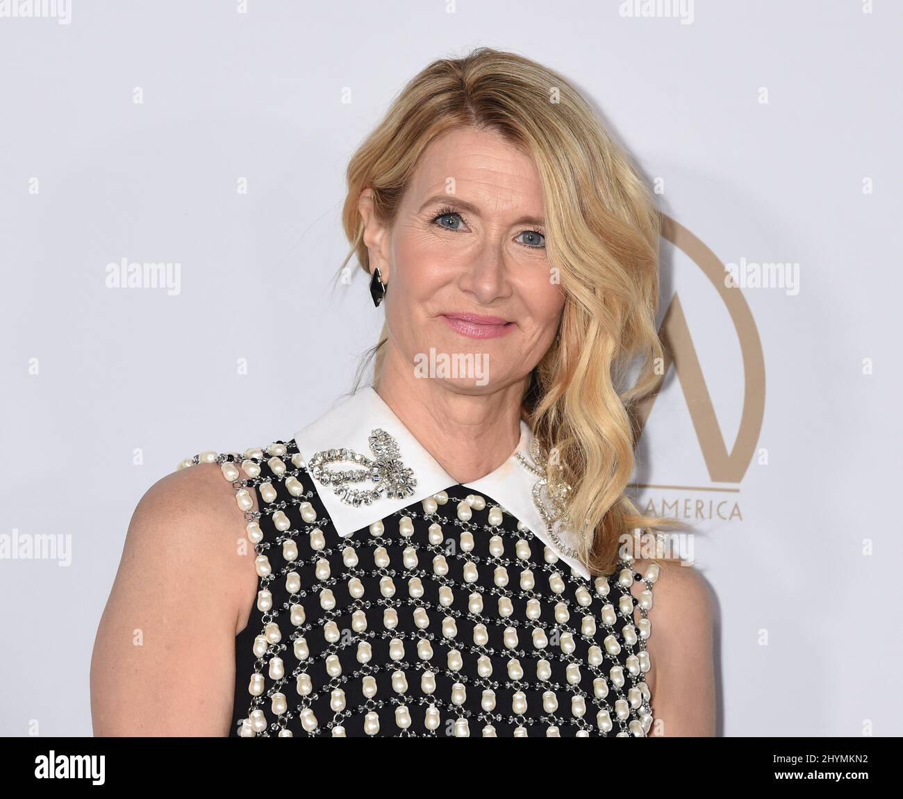 Laura Dern al 31st annuale Produttori Guild Awards tenutosi all'Hollywood Palladium Foto Stock