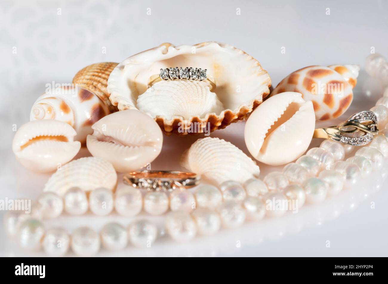 Gioielli in oro tra le conchiglie. Belle conchiglie, una serie di perle e anelli d'oro. Foto Stock