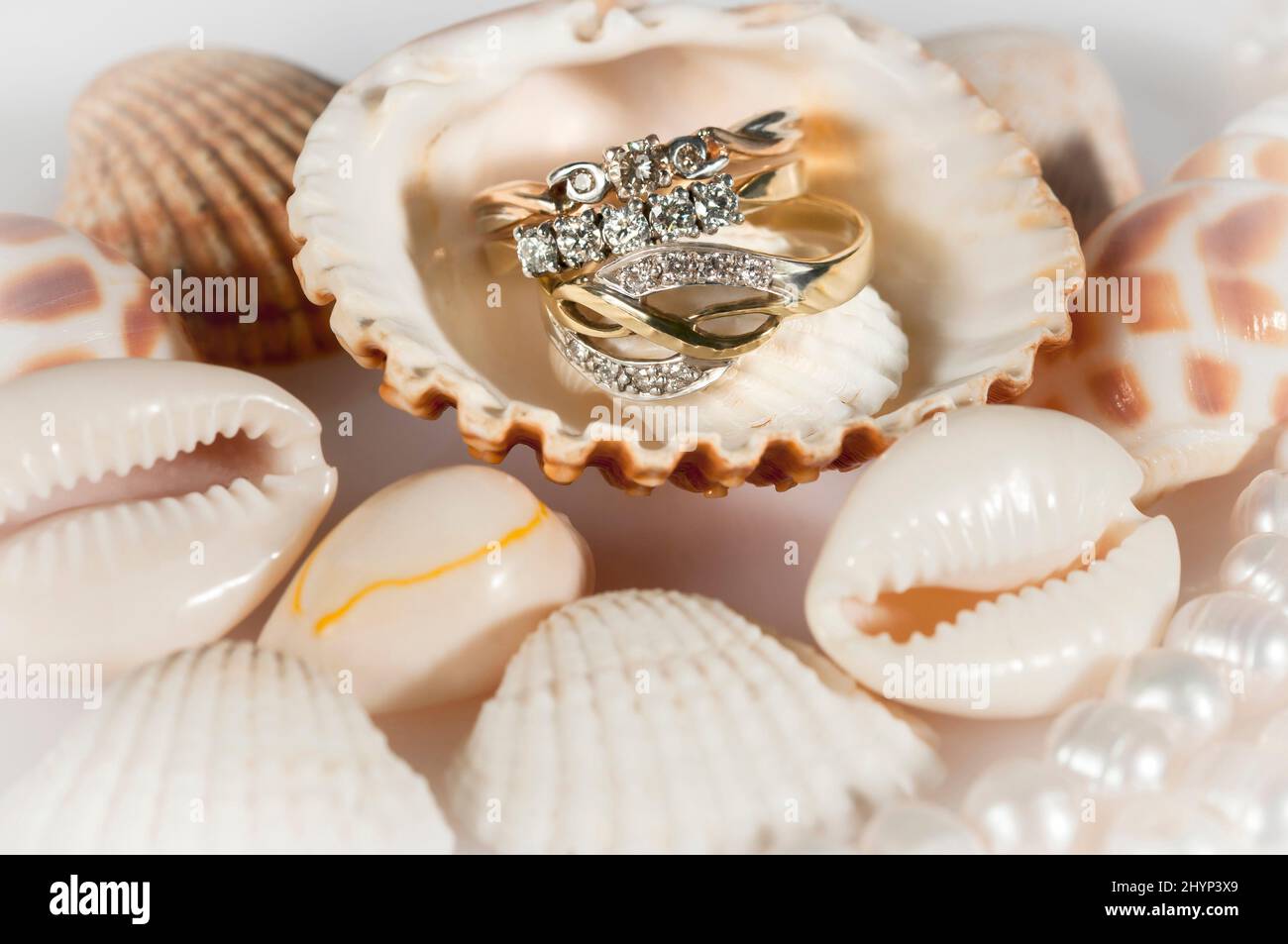 Gioielli in oro tra le conchiglie. Belle conchiglie, una serie di perle e anelli d'oro. Foto Stock