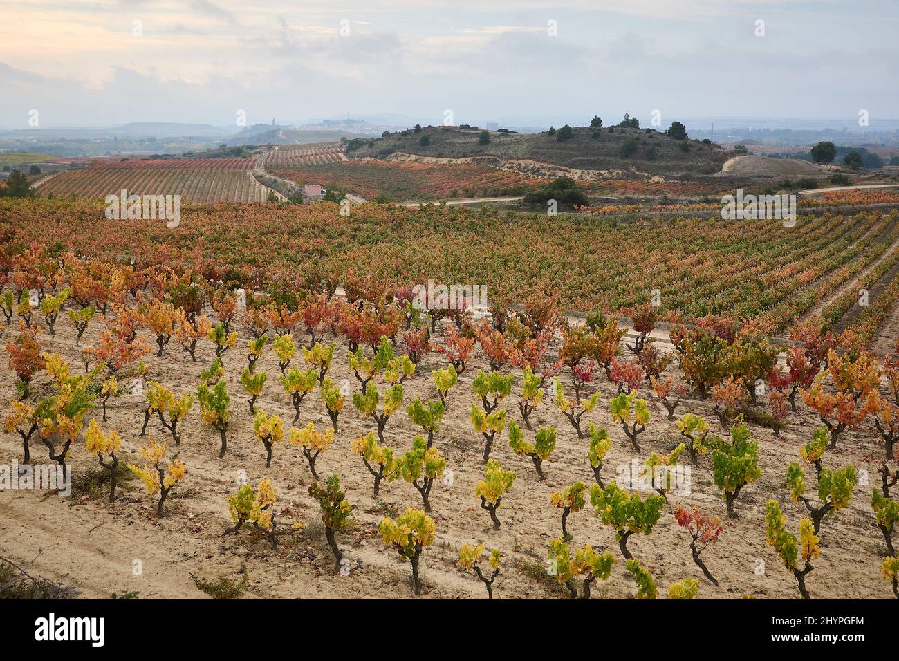 20/10/21 Vista verso Harro dai vigneti, Villalba de Rioja (la Rioja), Spagna. Foto di James Sturcke | sturcke.org Foto Stock