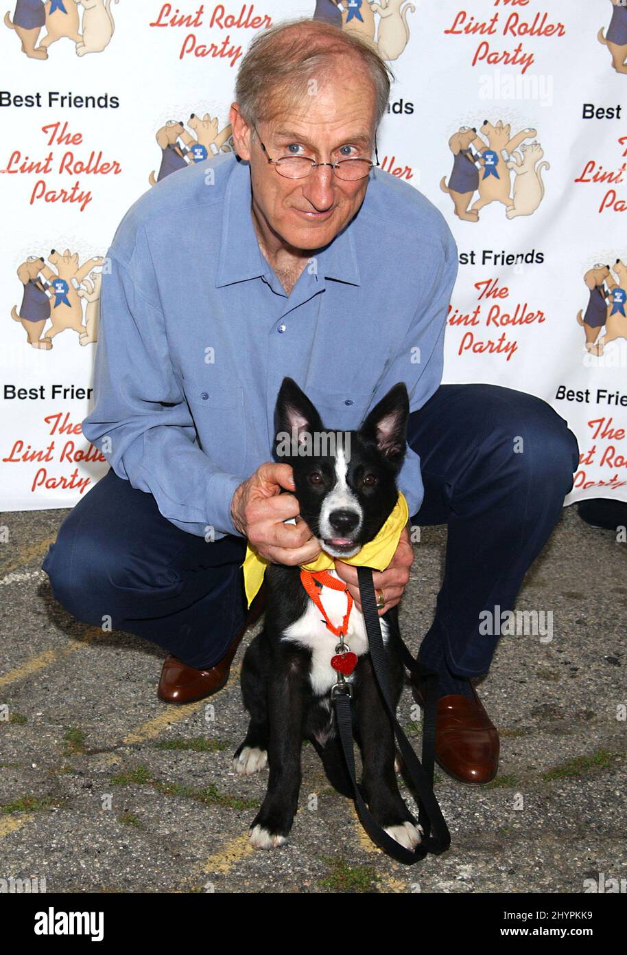 Festa del rullo di lanugine a beneficio del santuario degli animali dei ...