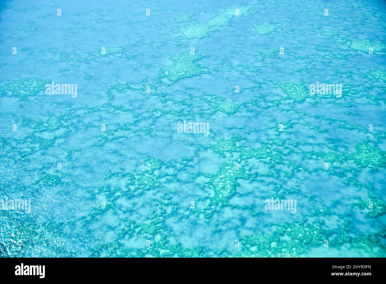 Naturale di grande barriera corallina nel Queensland. Vista aerea del paradiso naturale con colori magnifici. Foto Stock