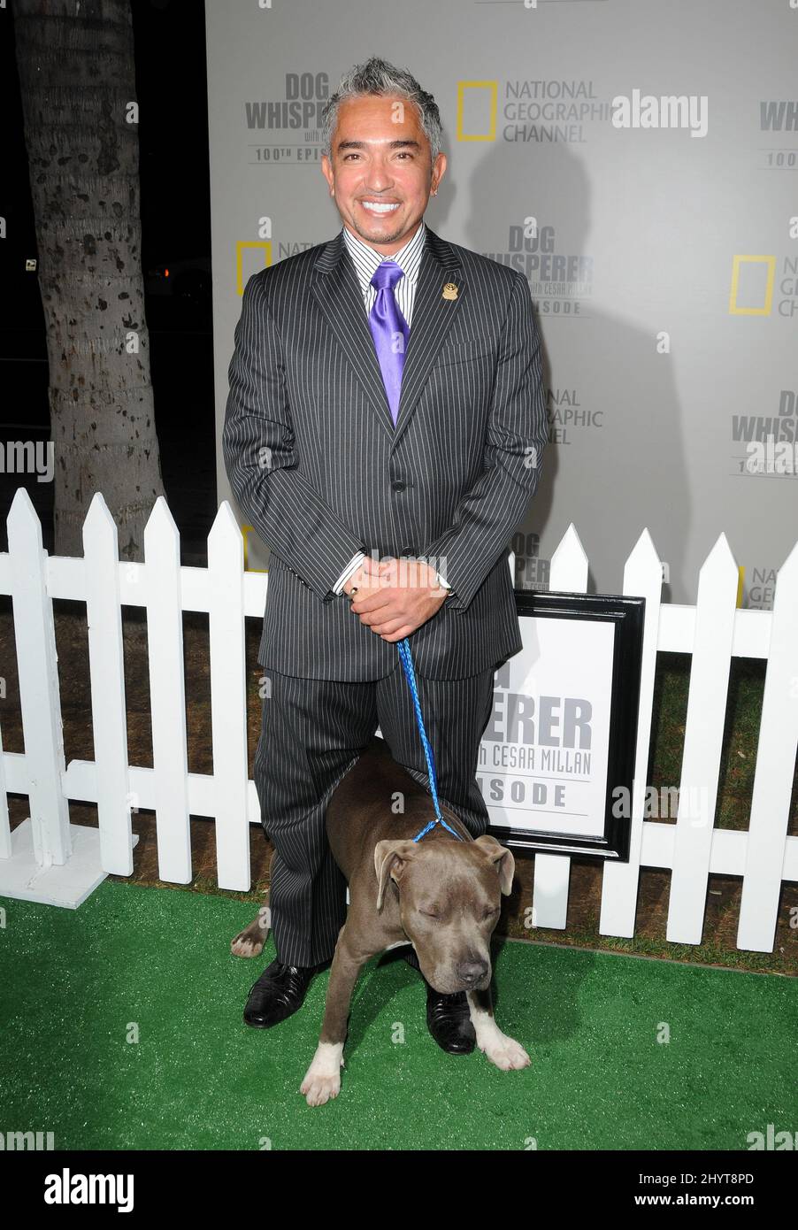 Cesar Millan and Dog Whisperer 100th Episode Celebration, Los Angeles. Foto Stock