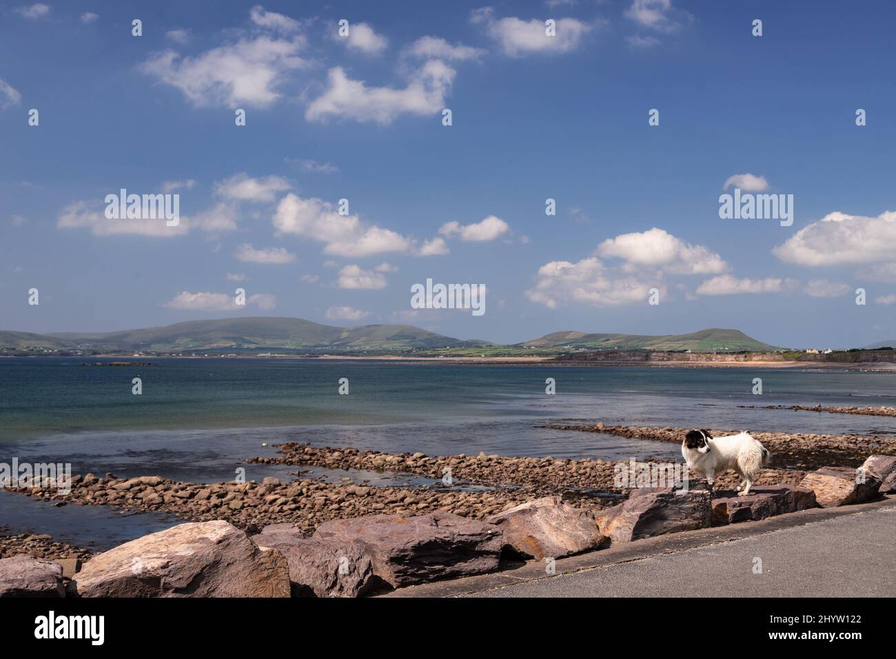 Waterville Beach sulla costa atlantica della contea di Kerry, Irlanda Foto Stock